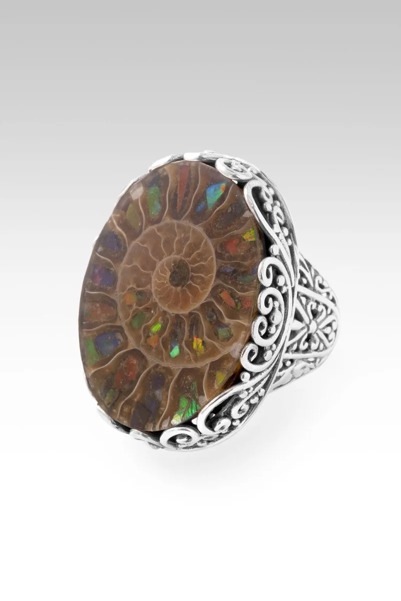 God Sees All Ring™ in Ammonite with Ammolite Inlay